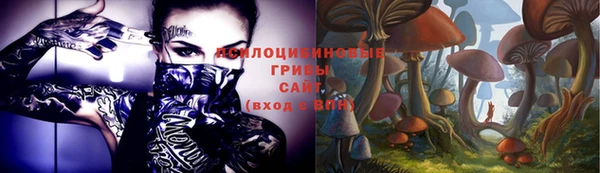 прущая мука Покачи